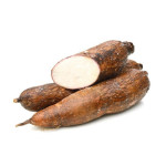 YUCA.jpg